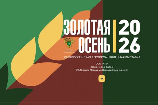 Золотая осень